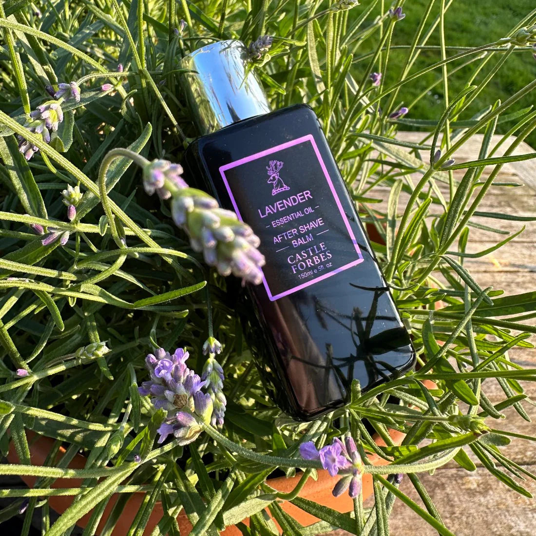 Castle Forbes Baume Après-Rasage – Lavande
